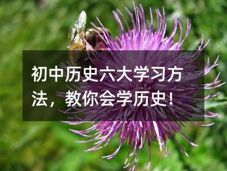 初中歷史六大學習方法,教你會學歷史!