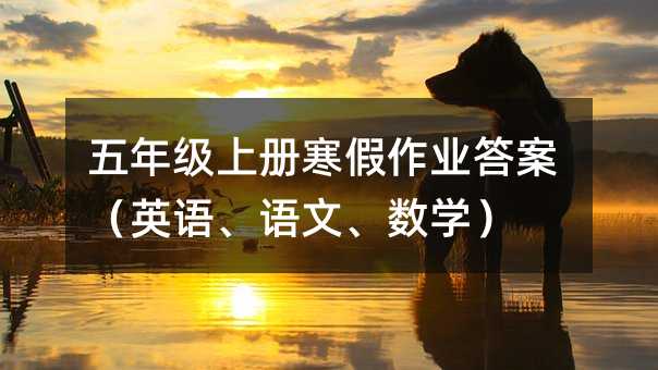 ���꼉(j��)�σ�(c��)�������I(y��)�𰸣�Ӣ�Z(y��)���Z(y��)�ġ���(sh��)�W(xu��)��