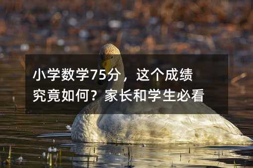 小學數學75分,這個成績究竟如何?家長和學生必看!
