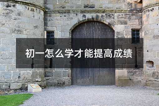 初一怎么學才能提高成績