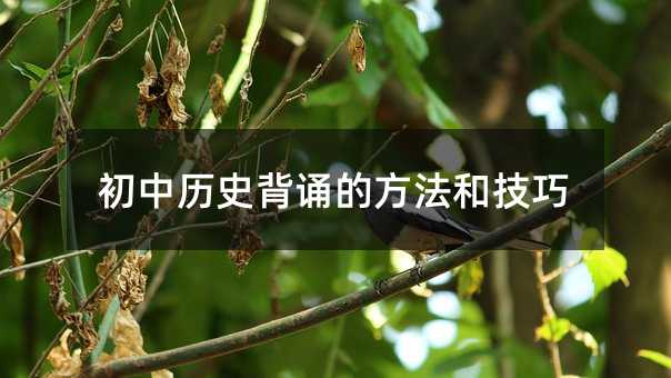 初中歷史背誦的方法和技巧