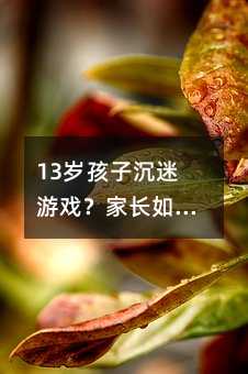 13歲孩子沉迷游戲?家長如何正確引導(dǎo),幫助孩子找回平衡生活