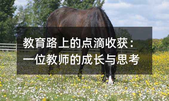 ����·�ϵ��c(di��n)���ի@��һλ�̎��ĳ��L�c˼��