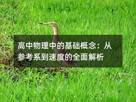 еĻA(ch)ąϵٶȵȫ