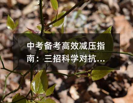 �п��俼��Ч�p��ָ�ϣ����пƌW����ƣ��