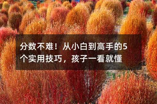 分數不難!從小白到高手的5個實用技巧,孩子一看就懂