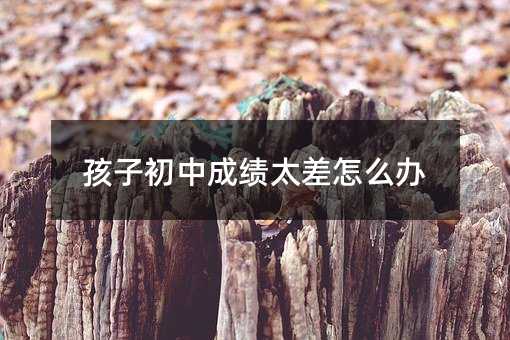 ���ӳ��гɿ�(j��)̫����ô�k