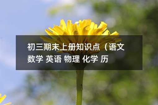 初三期末上冊(cè)知識(shí)點(diǎn)(語文 數(shù)學(xué) 英語 物理 化學(xué) 歷史)