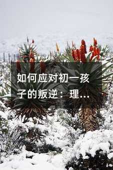 如何應(yīng)對初一孩子的叛逆:理解與陪伴的關(guān)鍵