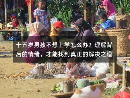 十五歲男孩不想上學(xué)怎么辦?理解背后的情緒,才能找到真正的解決之道