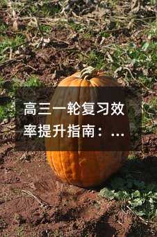 ����һ݆��(f��)��(x��)Ч������ָ�ϣ��ƌW(xu��)�������㏝����܇(ch��)