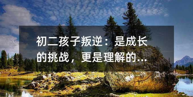 棺ǳL(zhng)(zhn)C(j)