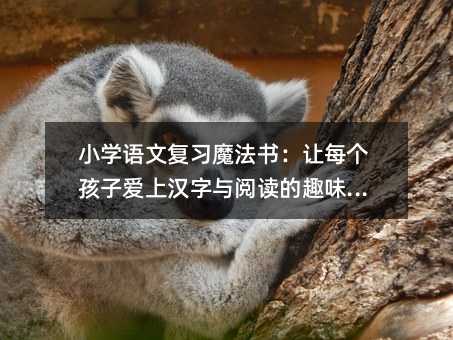 小學(xué)語(yǔ)文復(fù)習(xí)魔法書(shū):讓每個(gè)孩子愛(ài)上漢字與閱讀的趣味指南