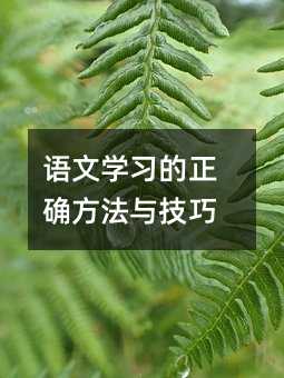 語文學習的正確方法與技巧