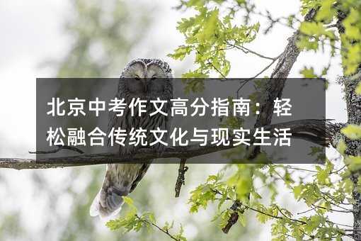 北京中考作文高分指南:輕松融合傳統(tǒng)文化與現(xiàn)實生活