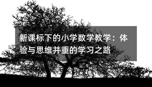 新課標下的小學數學教學:體驗與思維并重的學習之路