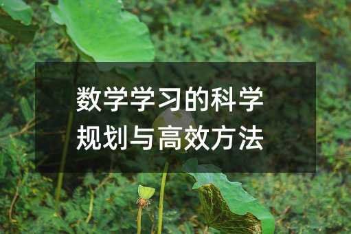 ��(sh��)�W�W���ĿƌWҎ(gu��)���c��Ч����