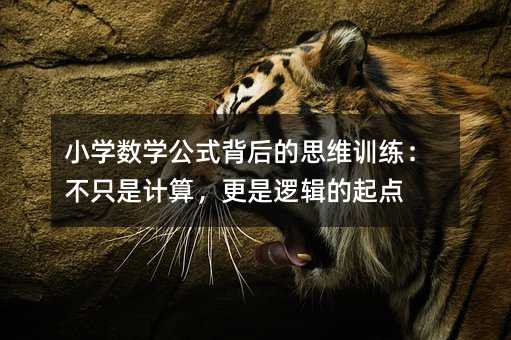 小學(xué)數(shù)學(xué)公式背后的思維訓(xùn)練:不只是計(jì)算,更是邏輯的起點(diǎn)