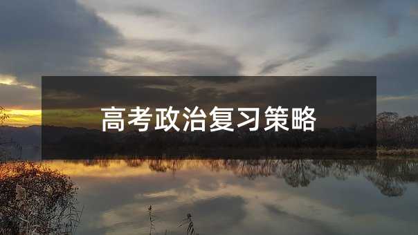 高考政治復(fù)習策略
