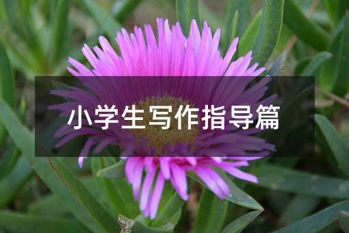 小學生寫作指導篇