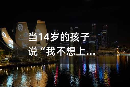 當(dāng)14歲的孩子說“我不想上學(xué)了”