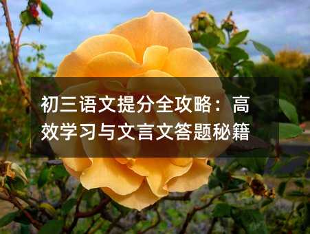 初三語文提分全攻略:高效學習與文言文答題秘籍