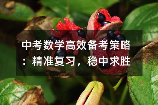 中考數學高效備考策略:精準復習,穩中求勝
