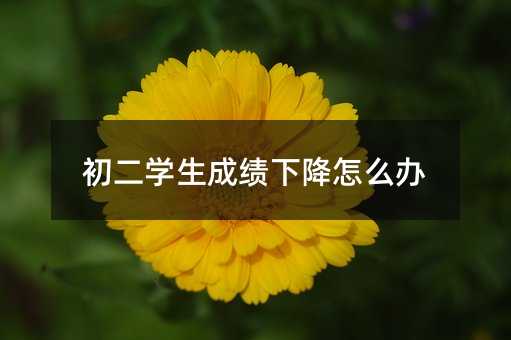 初二學生成績下降怎么辦