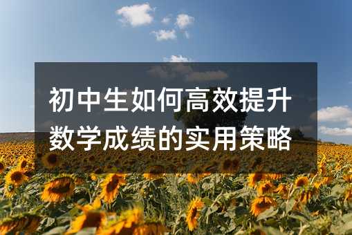 初中生如何高效提升數(shù)學(xué)成績的實(shí)用策略