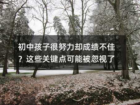初中孩子很努力卻成績不佳?這些關鍵點可能被忽視了