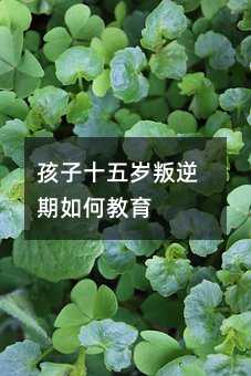 孩子十五歲叛逆期如何教育