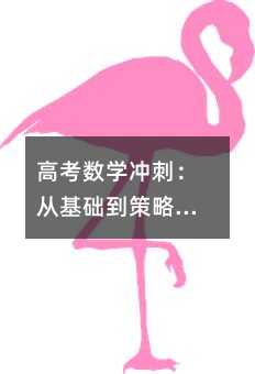 高考數學沖刺:從基礎到策略的全方位突破指南