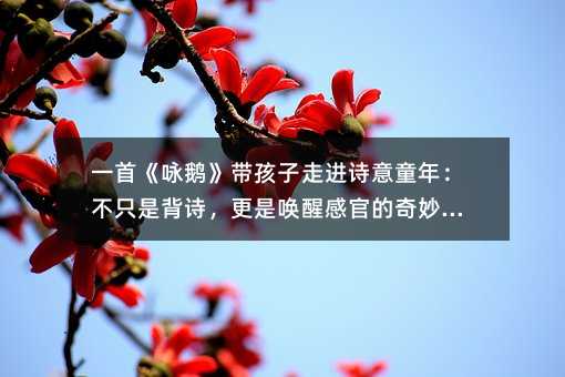 一首《詠鵝》帶孩子走進(jìn)詩意童年:不只是背詩,更是喚醒感官的奇妙旅程