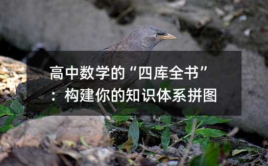高中數(shù)學(xué)的“四庫(kù)全書”:構(gòu)建你的知識(shí)體系拼圖