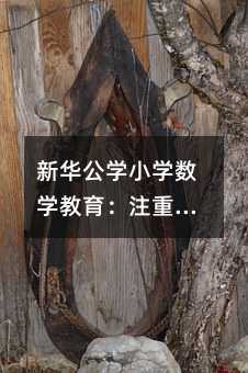 AWСWWע˼SBcȫlչ̽