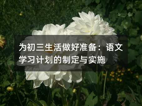 為初三生活做好準備:語文學習計劃的制定與實施