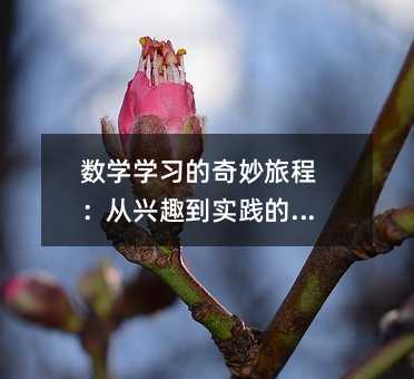 數學學習的奇妙旅程:從興趣到實踐的探索