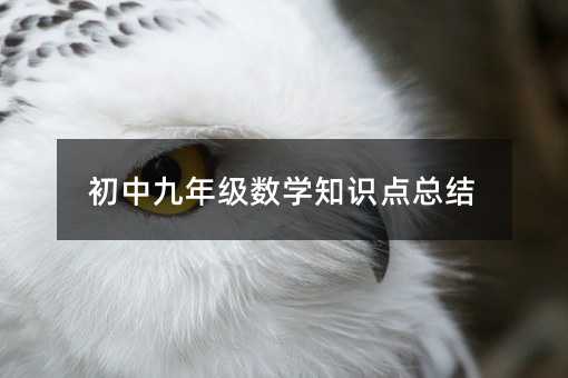 初中九年級數(shù)學(xué)知識點總結(jié)