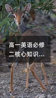 ��һӢ�Z���޶�����֪�R�c���������~�R��˼�S���S�w