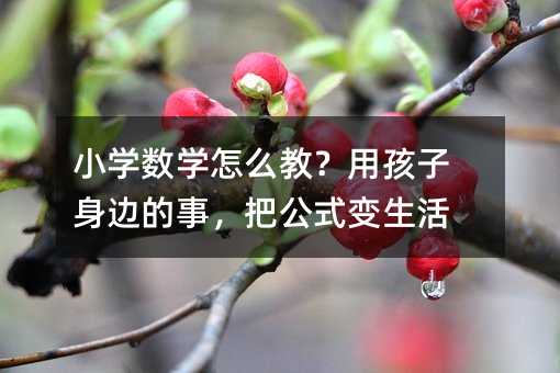 小學(xué)數(shù)學(xué)怎么教?用孩子身邊的事,把公式變生活