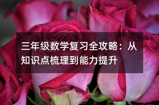 三年級數(shù)學(xué)復(fù)習(xí)全攻略:從知識點(diǎn)梳理到能力提升