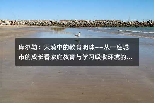 庫爾勒:大漠中的教育明珠——從一座城市的成長看家庭教育與學習吸收環境的重要性