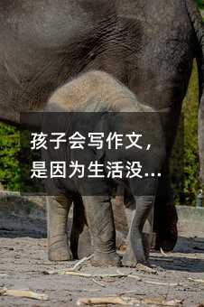 孩子會寫作文,是因為生活沒被關在教室里