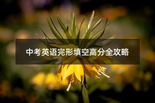 �п�Ӣ�Z������ո߷�ȫ����