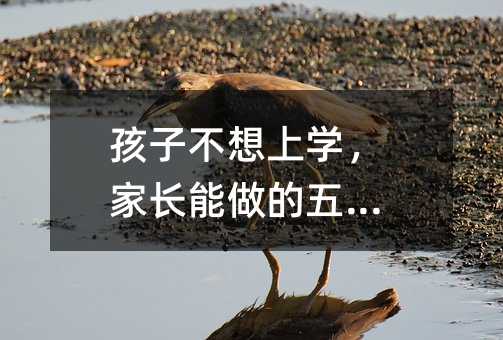 孩子不想上學(xué),家長能做的五件事