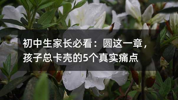 初中生家長必看:圓這一章,孩子總卡殼的5個真實痛點