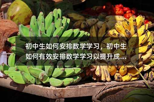 初中生如何安排數(shù)學(xué)學(xué)習(xí),初中生如何有效安排數(shù)學(xué)學(xué)習(xí)以提升成績(jī)?