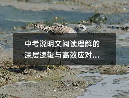 �п��f(shu��)������x��������߉݋�c��Ч��(y��ng)��(du��)����