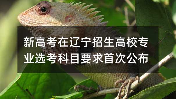 新高考在遼寧招生高校專業(yè)選考科目要求首次公布