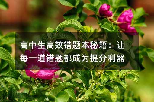 高中生高效錯(cuò)題本秘籍:讓每一道錯(cuò)題都成為提分利器